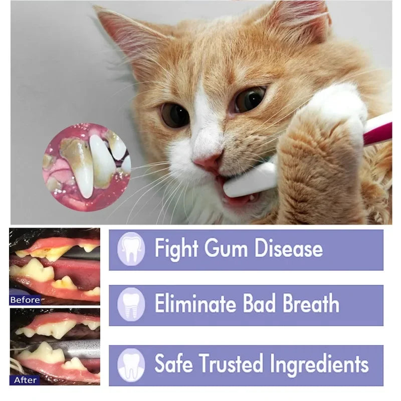 Cats Dogs Toothpaste