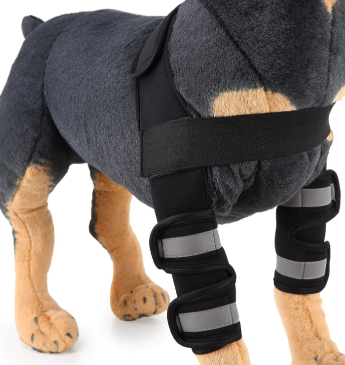 Dog Knee Brace