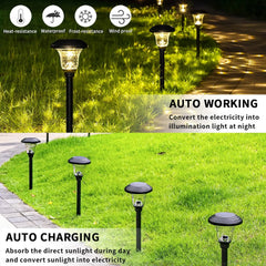 Outdoor Solar Lights with Vibrant Pattern