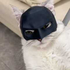 Cat Mask