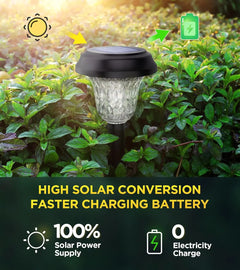 Outdoor Solar Lights with Vibrant Pattern