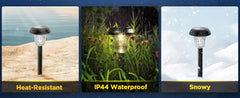 Outdoor Solar Lights with Vibrant Pattern