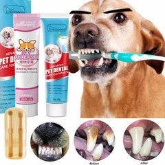 Cats Dogs Toothpaste
