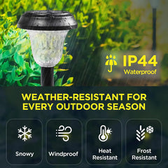 Outdoor Solar Lights with Vibrant Pattern