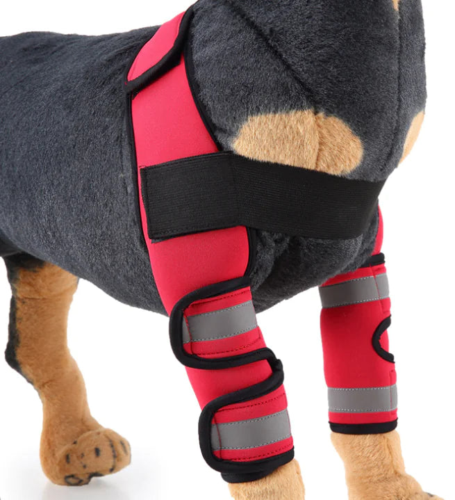 Dog Knee Brace